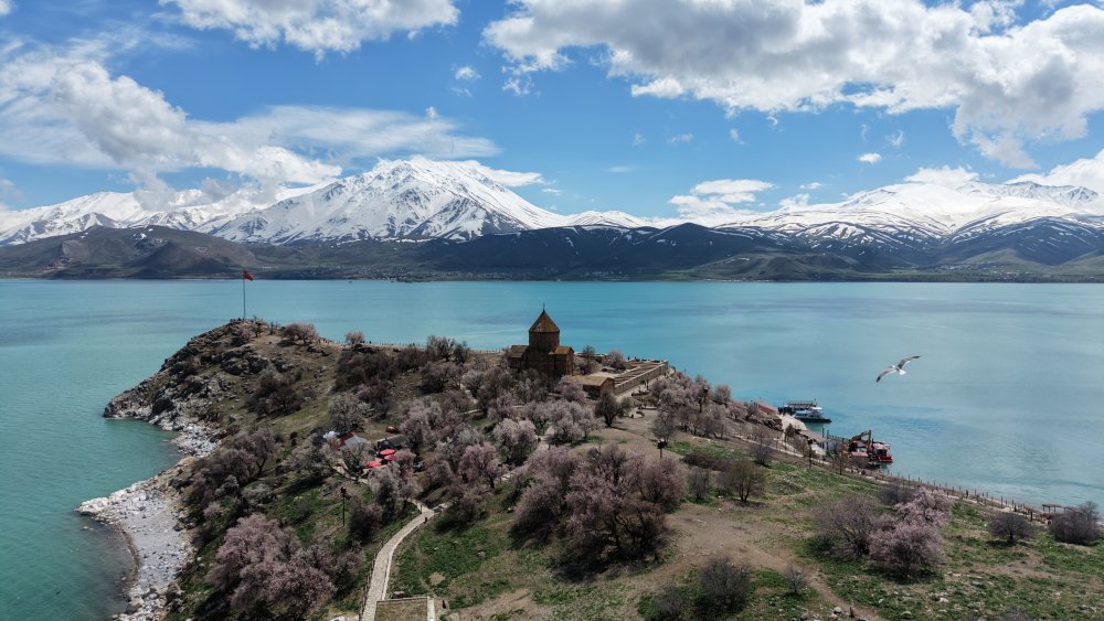 Badem ağaçlarının çiçekleriyle güzelleşen Akdamar Adası'nda ziyaretçi yoğunluğu