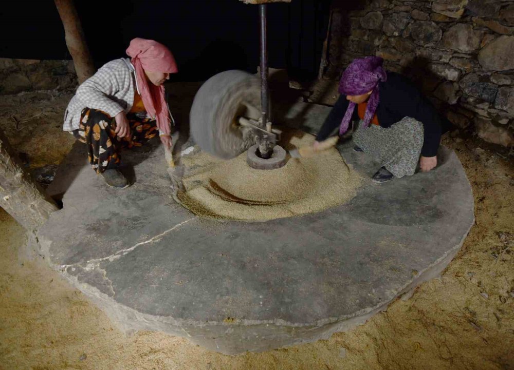 Asırlık su değirmeniyle doğal pirinç üretimi sürüyor