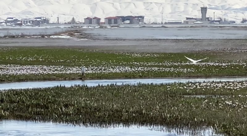 iha-20260429aw693525-5.jpg