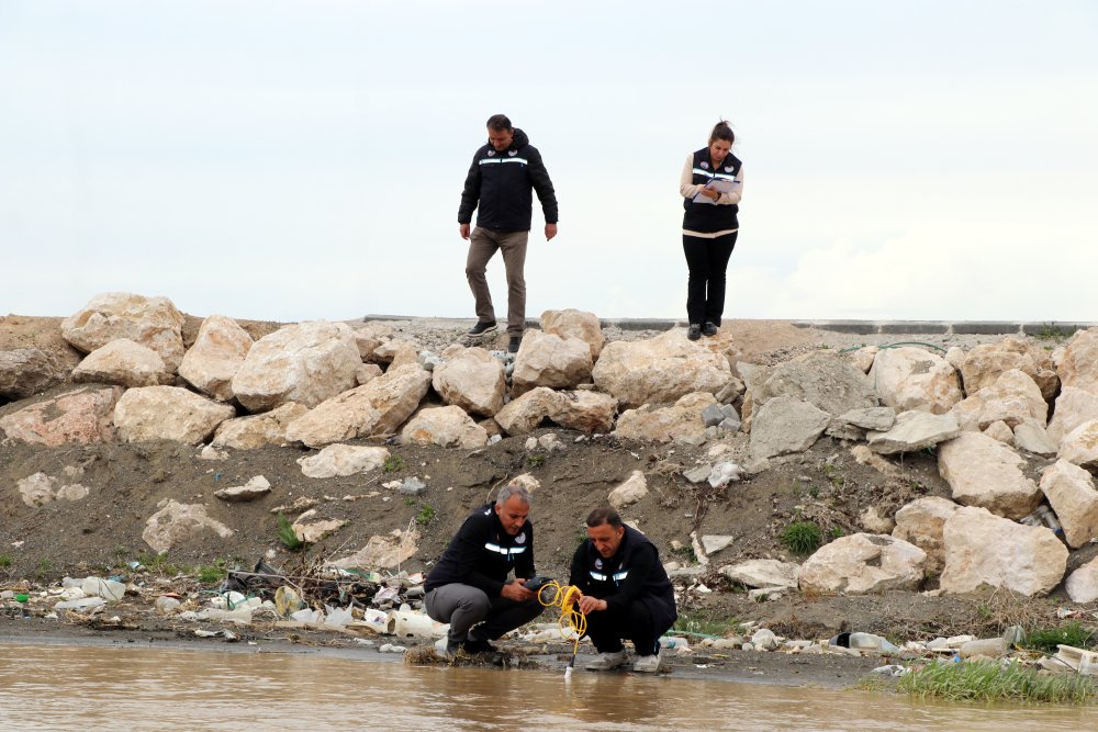 Van'da İnci kefalinin üreme göçüne sıkı takip