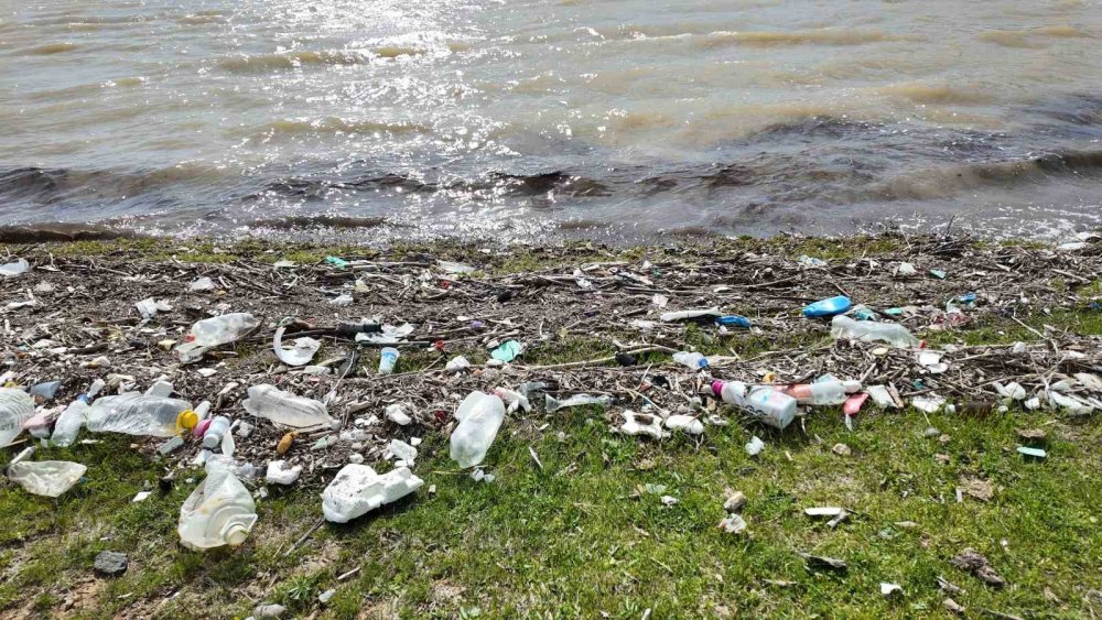 Erciş'teki Koçköprü Barajı’nda atıklar tehlike saçıyor
