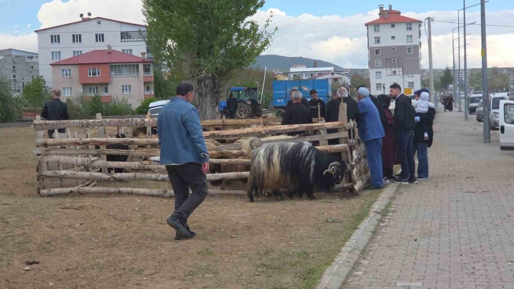 Uzmanından Kurban Bayramı öncesi 5 uyarı