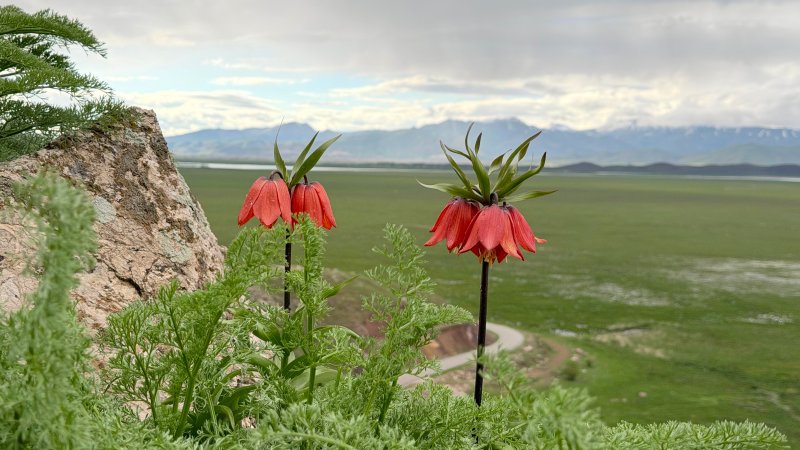 yuksekova-ovasi-hakkari-002.jpeg