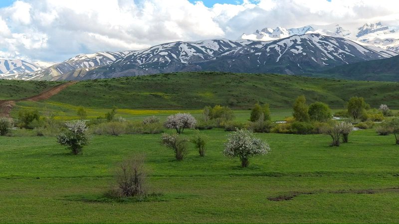yuksekova-ovasi-hakkari-003.jpeg