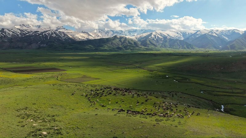 yuksekova-ovasi-hakkari.jpeg