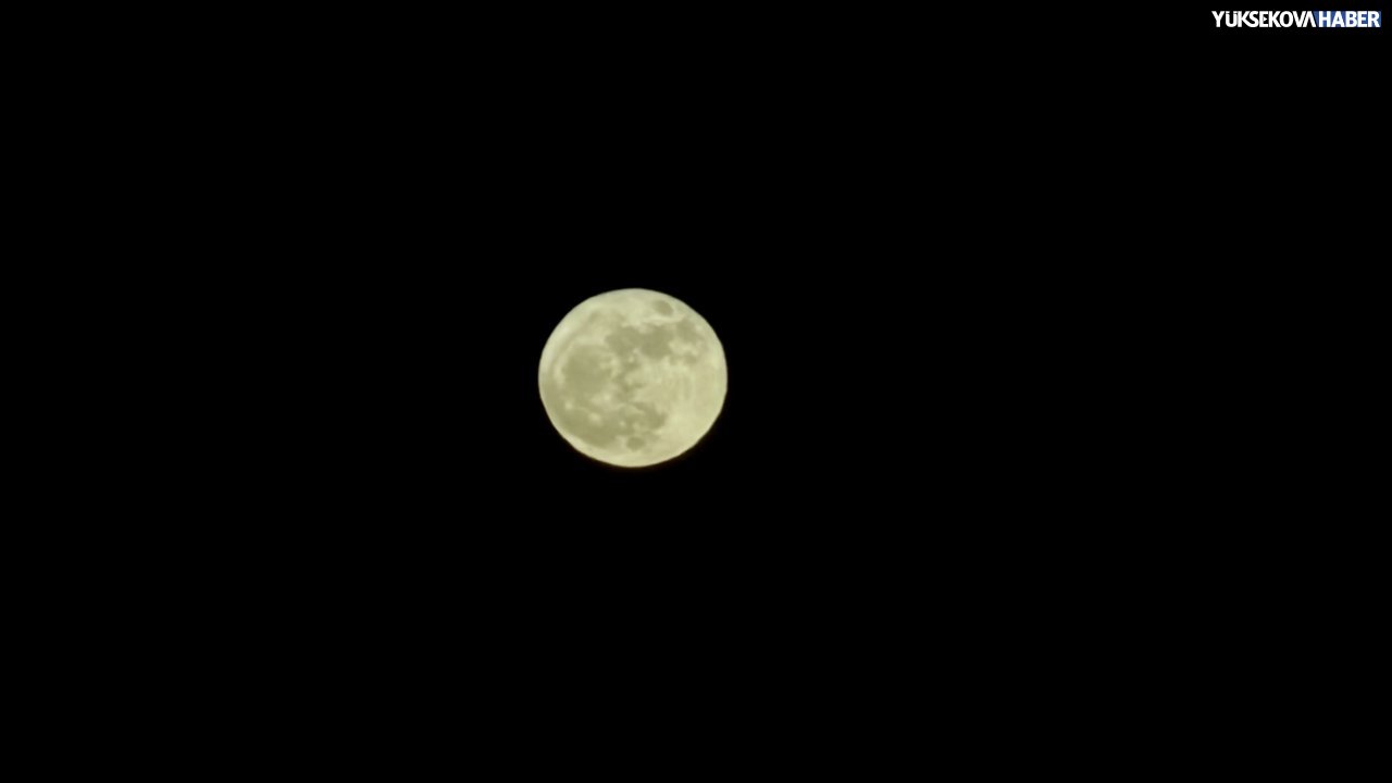img-3718.jpeg