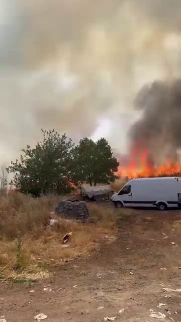 Diyarbakır’da yüzlerce dönüm alan alevlere teslim oldu