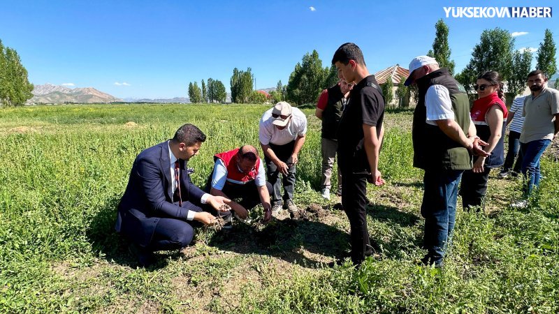 whatsapp-image-2026-07-03-at-17-27-29-1.jpeg