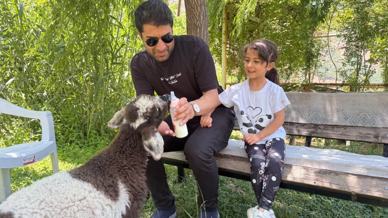 dha-420434-6.jpg