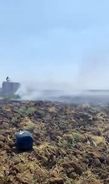 Nusaybin'deki anız yangını kontrol altına alındı