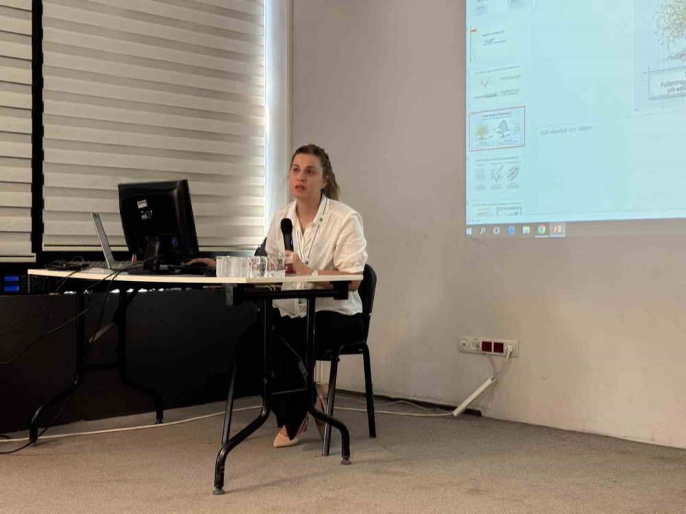 "Ergenlik, beyin gelişimi için önemli bir fırsat dönemi"
