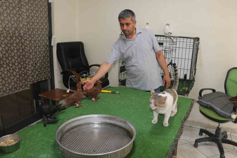 iha-20260802aw759166-1.jpg
