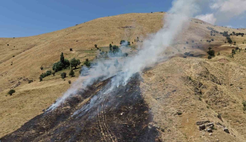 Bitlis’te çıkan örtü yangını söndürüldü