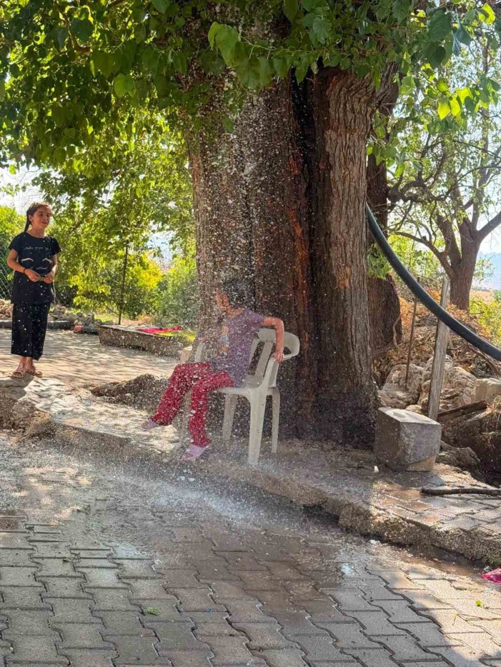 Hava sıcaklığına karşı çözümü ağaçtan sarkıttığı hortumdan akan suda buldu