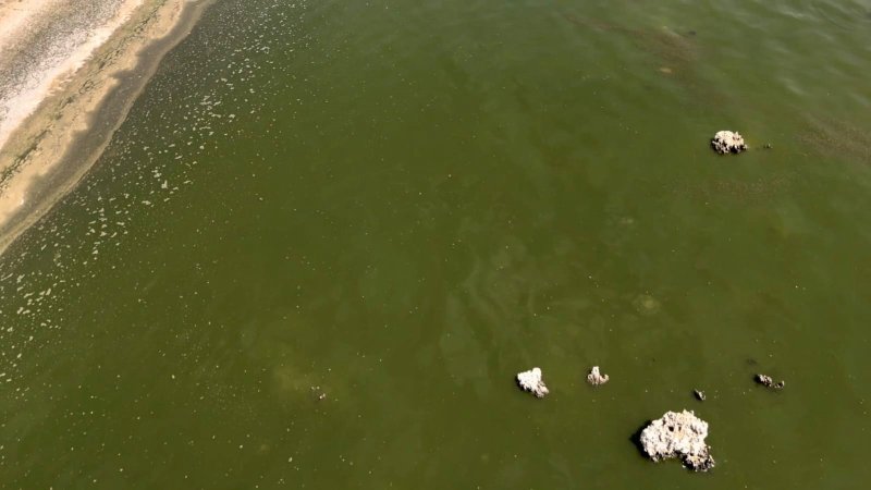 iha-20260807aw762476-2.jpg
