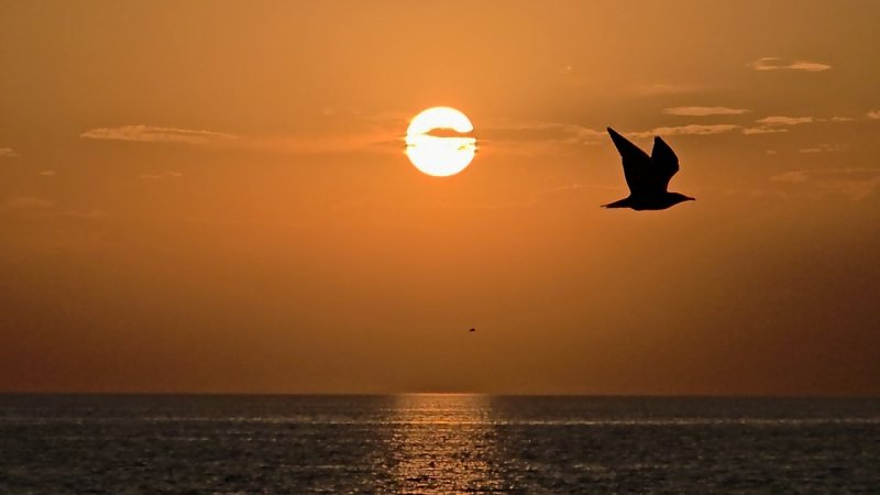 iha-20260812aw765832-1.jpg
