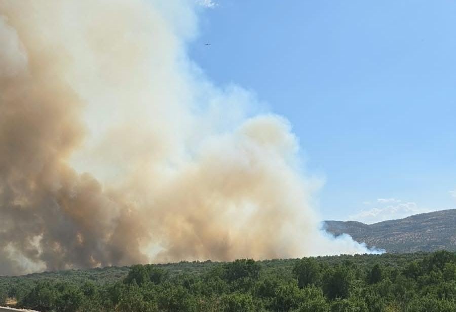 Silvan ile Lice ilçeleri arasındaki ormanlık alanda yangın