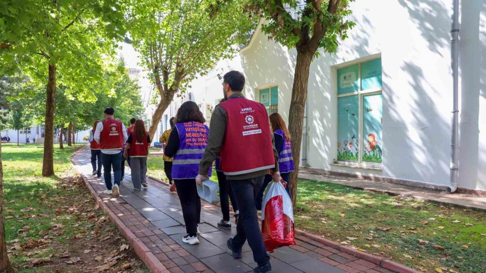 Amed'de sokak hayvanları için farkındalık çalışması