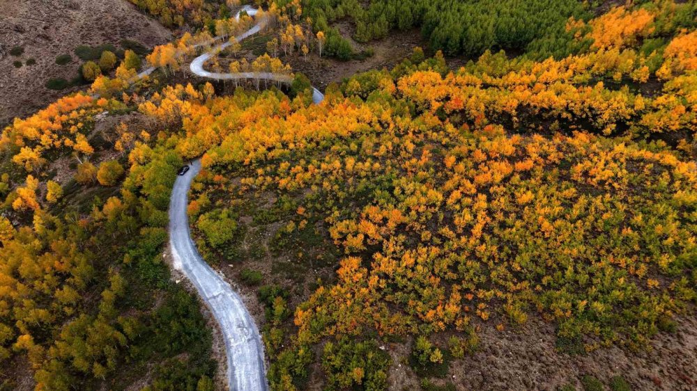 Nemrut Kalderası’nda sonbahar renkleri seyri güzel manzaralar oluşturdu