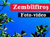 Zembilfroş