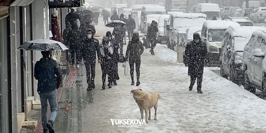 Yüksekova'da kar yağışı görüntüsü 26-11-2020