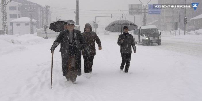 Yüksekova'da kar yağışı etkili oldu - 27-01-2022